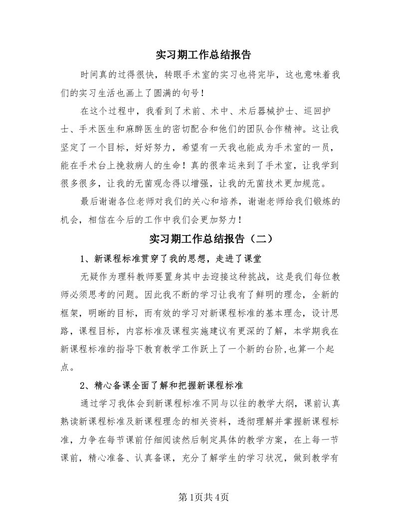 实习期工作总结报告（4篇）