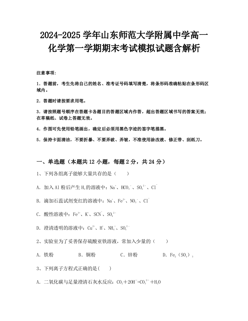 2024-2025学年山东师范大学附属中学高一化学第一学期期末考试模拟试题含解析