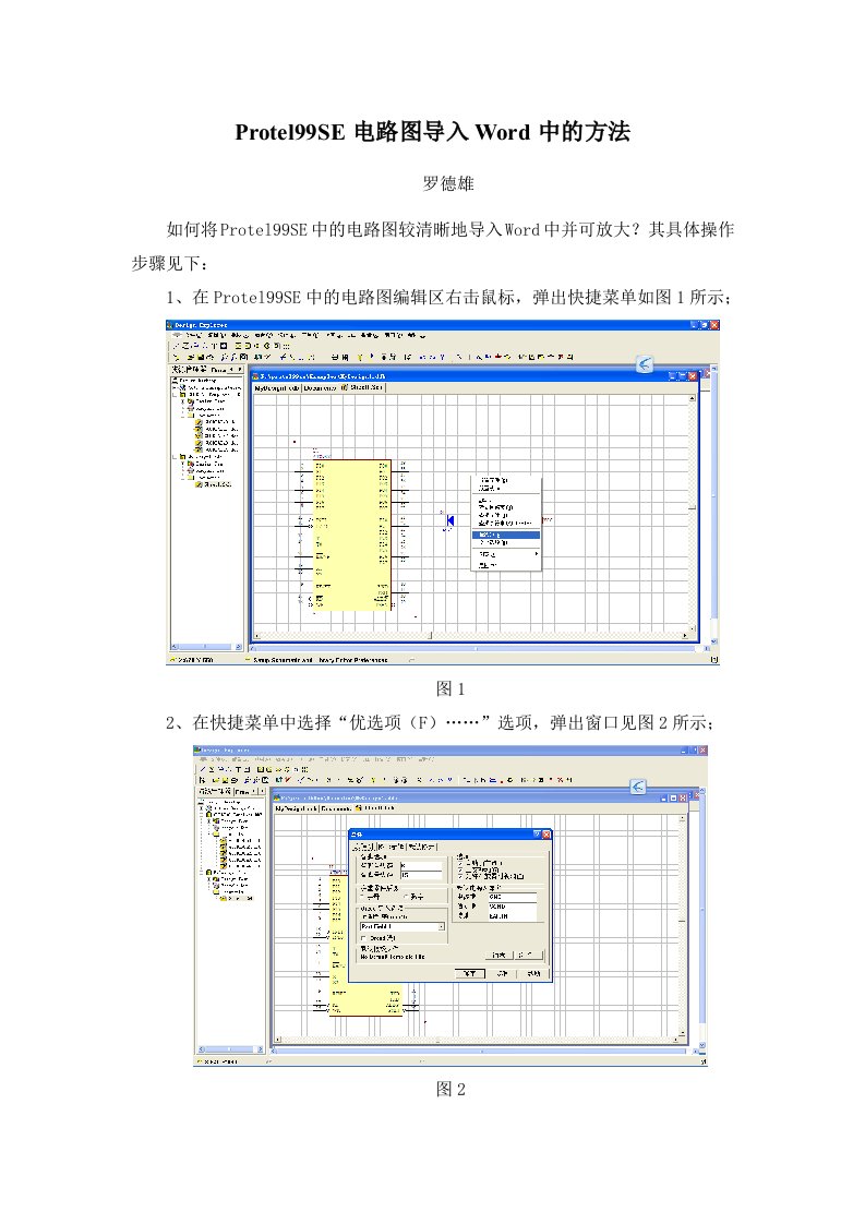 Protel99SE电路图导入中的方法