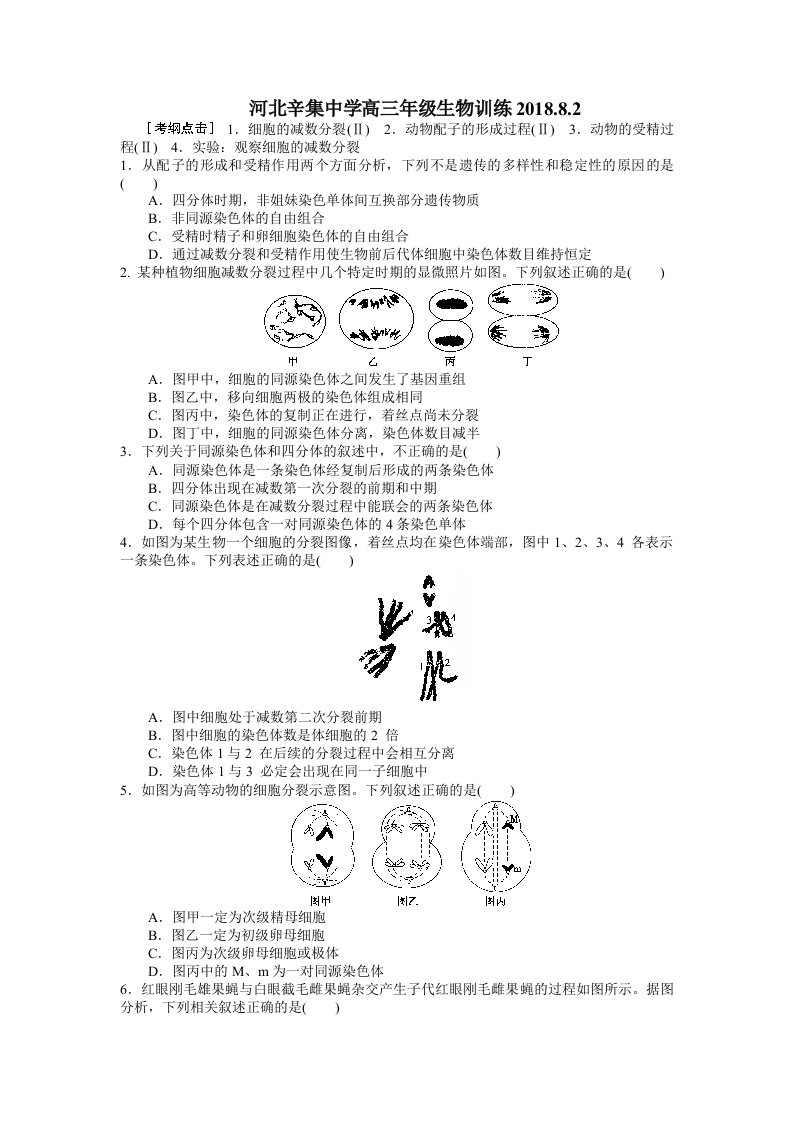 河北辛集中学高三暑假生物：周四减数分裂题目（8.2）