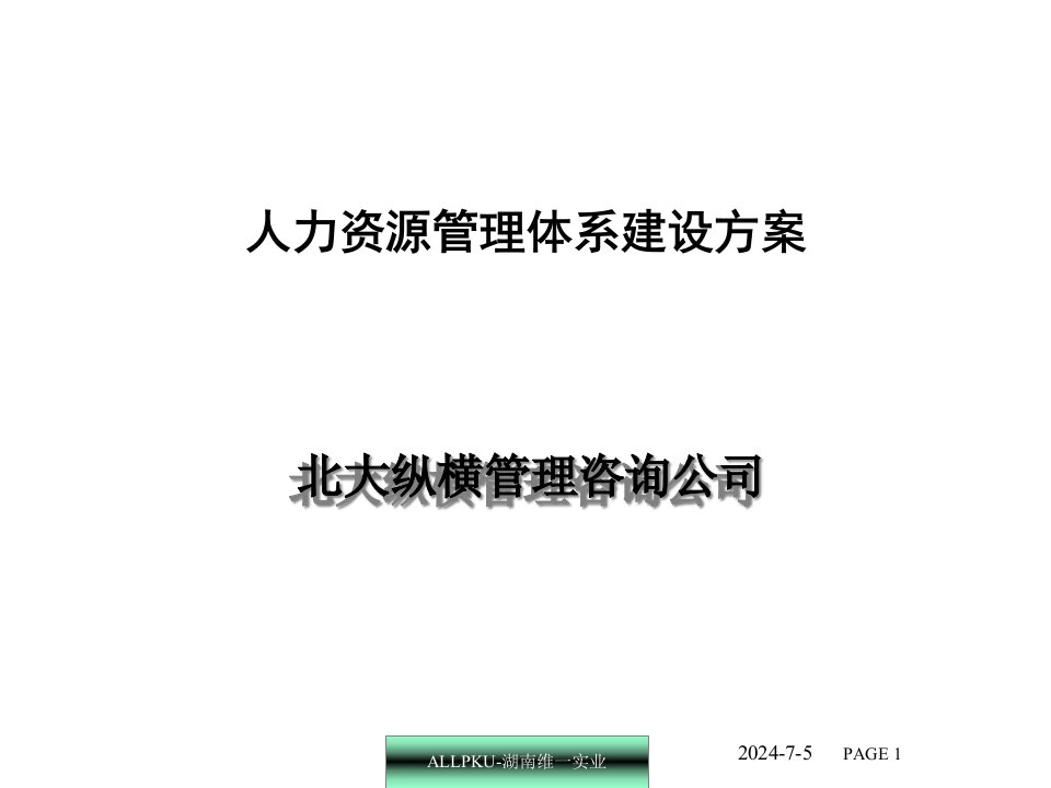 人力资源管理体系建设方案（某咨询）