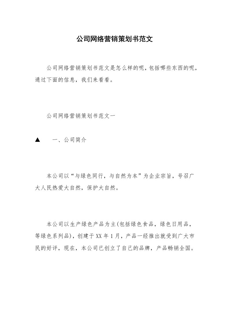 公司网络营销策划书范文