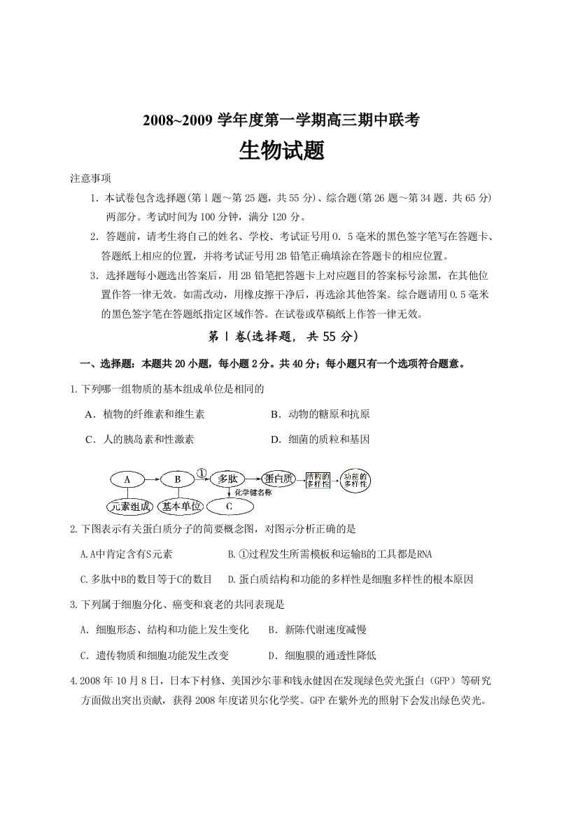 2008~2009学年度第一学期高三期中联考