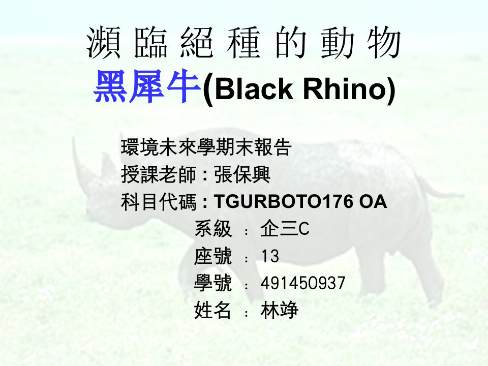 课件濒临绝种的动物黑犀牛BlackRh