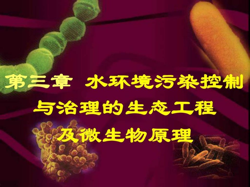 教学用水环境污染控制与治理的生态工程及微生物原理课件