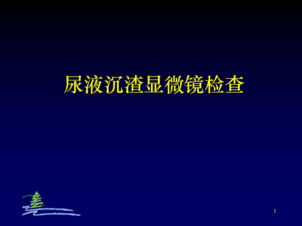 医学课件尿液沉渣显微镜检查