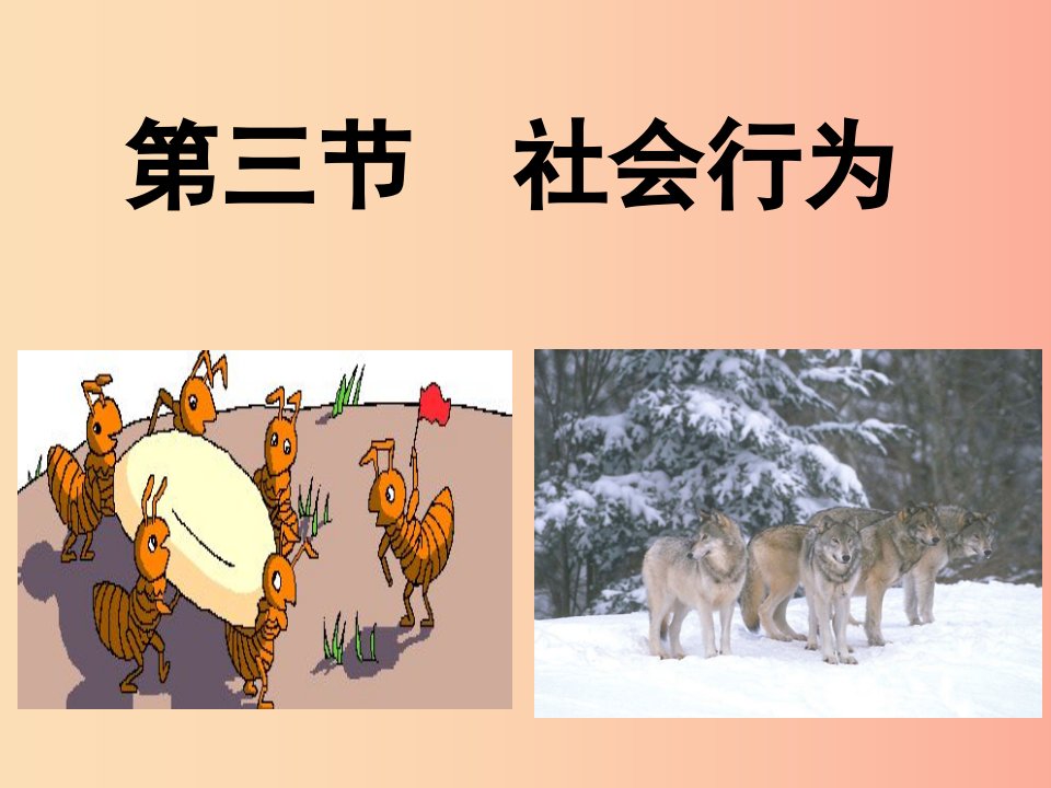 八年级生物上册