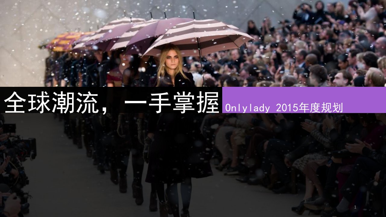 Onlylady2015年度运营规划