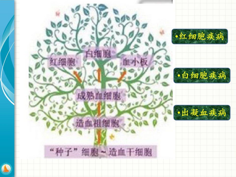 临检血液学-—2.细胞化学染色2