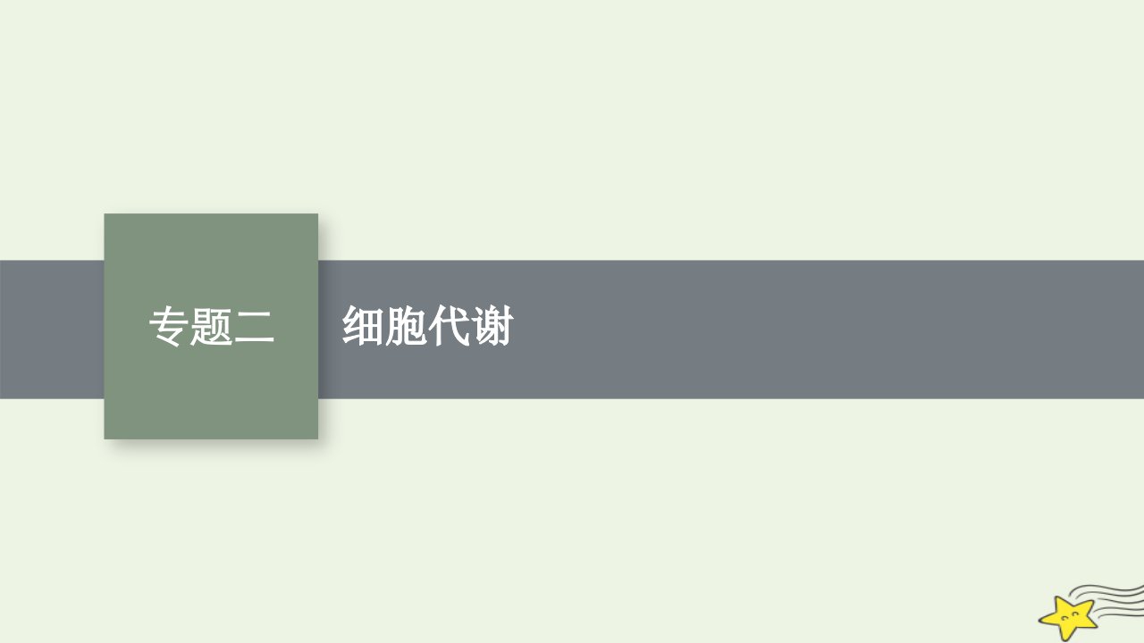 老高考新教材适用2023版高考生物二轮复习专题2细胞代谢课件