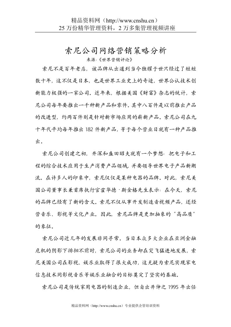 索尼公司网络营销策略分析