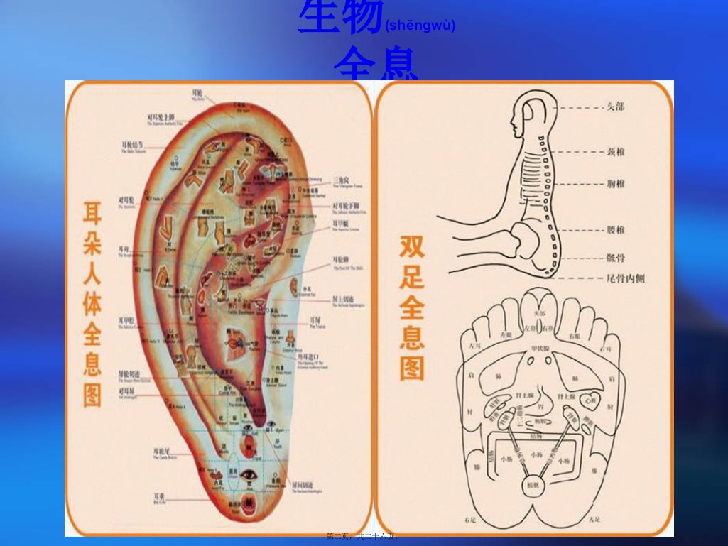 舌诊基础