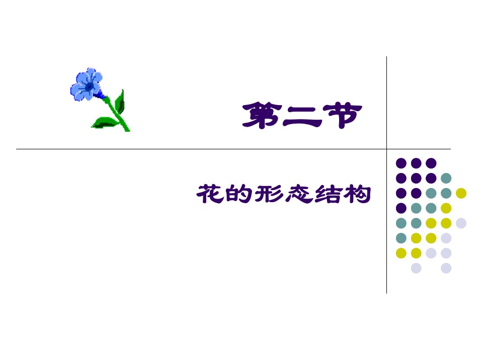 第二节花的形态结构植物学