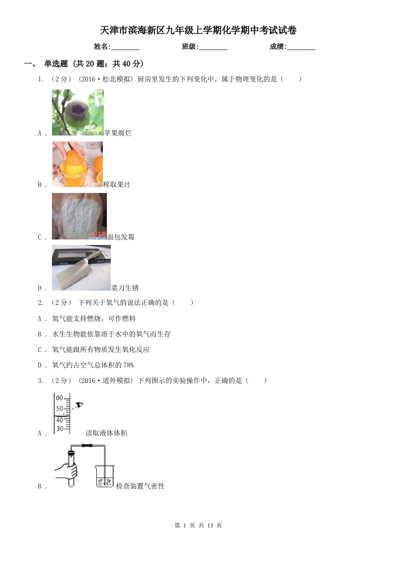 天津市滨海新区九年级上学期化学期中考试试卷