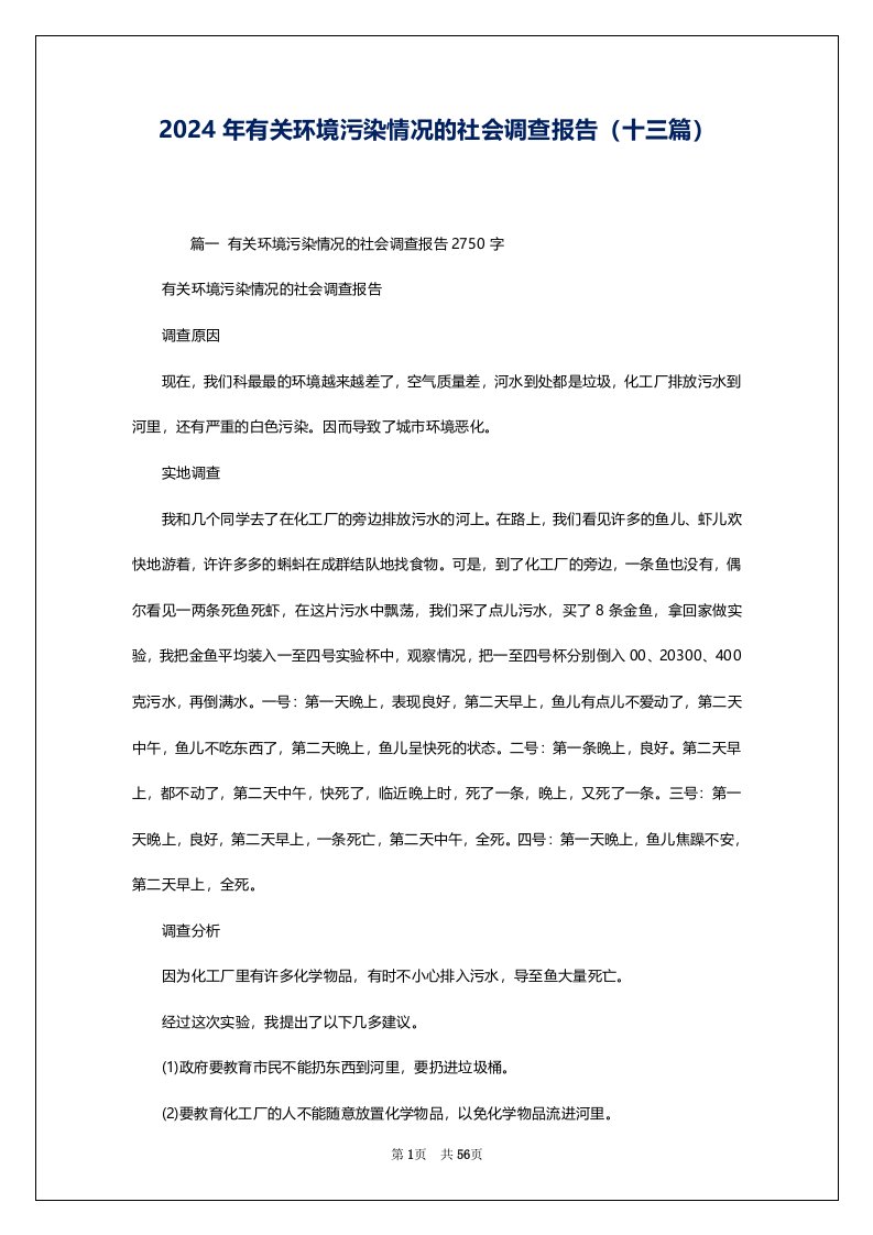 2024年有关环境污染情况的社会调查报告（十三篇）