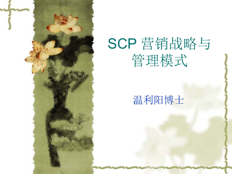 SCP营销战略与管理模式(118页ppt)-管理模式