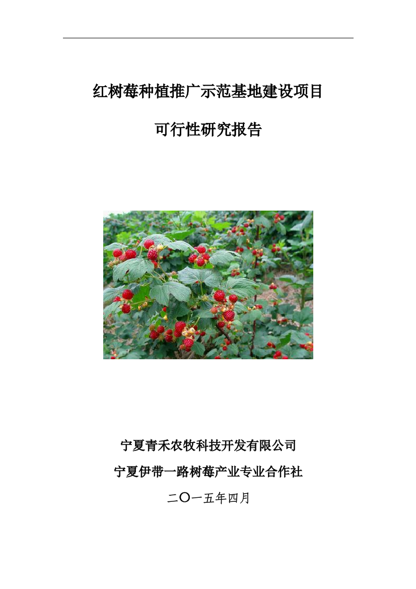 红树莓种植推广示范基地项目可行性研究报告