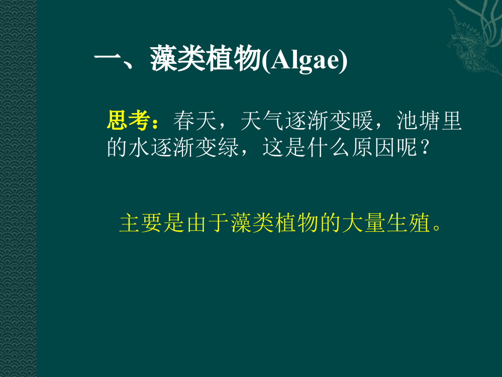 五彩缤纷的植物世界专题培训课件