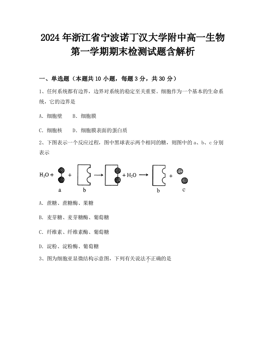 2024年浙江省宁波诺丁汉大学附中高一生物第一学期期末检测试题含解析