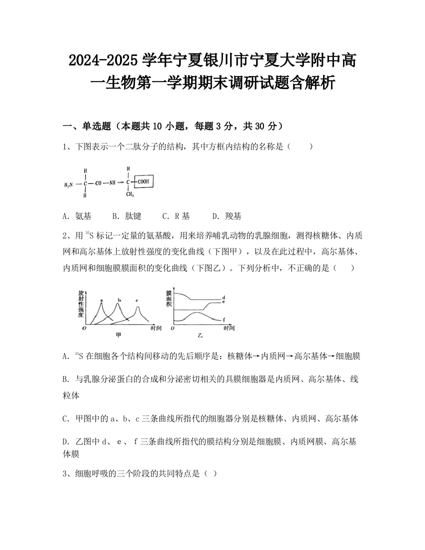 2024-2025学年宁夏银川市宁夏大学附中高一生物第一学期期末调研试题含解析