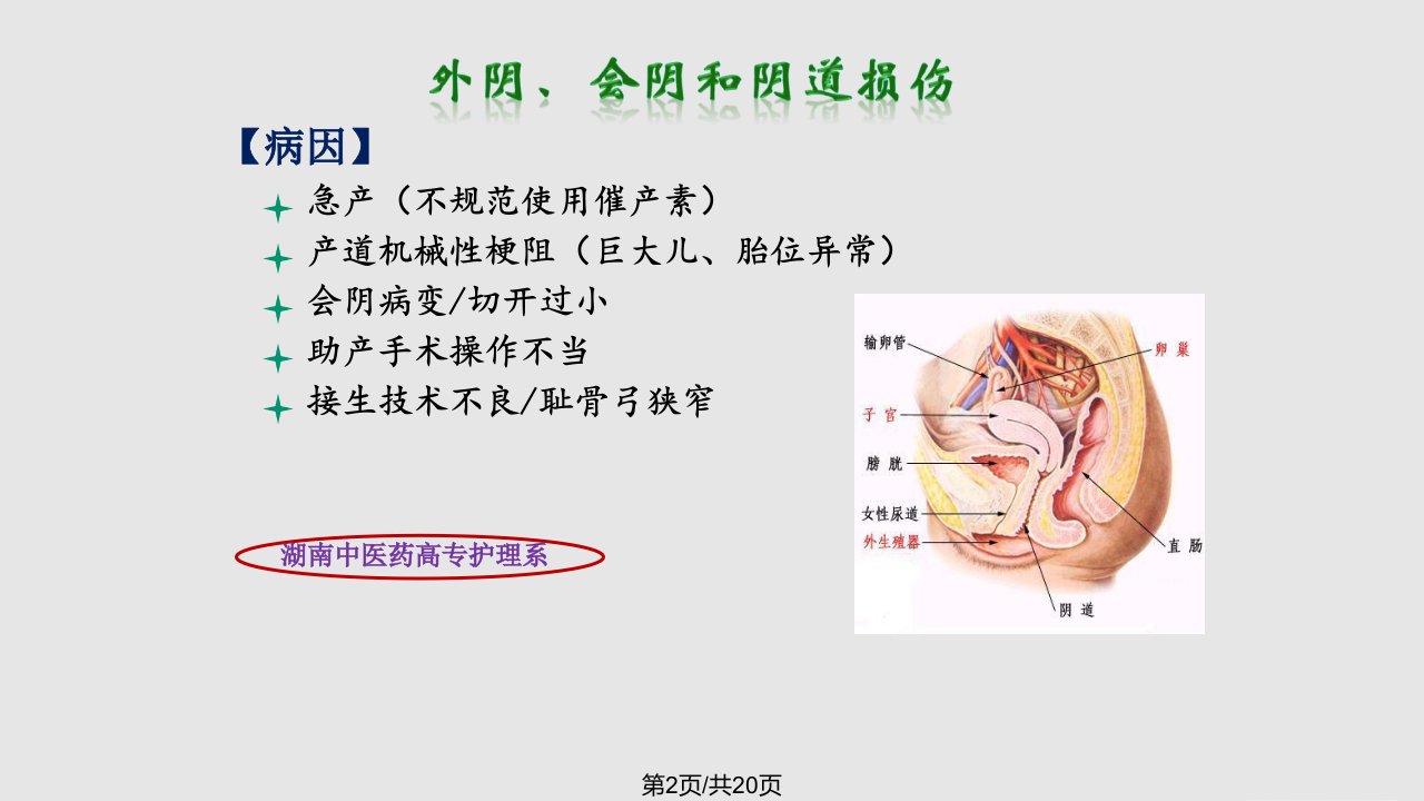 软产道损伤学习