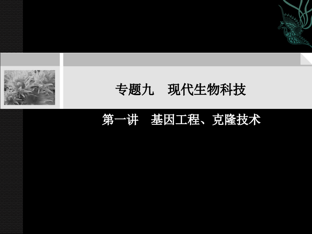 基因工程、克隆技术高考生物复习第1部分知识落实专题9第1讲ppt课件