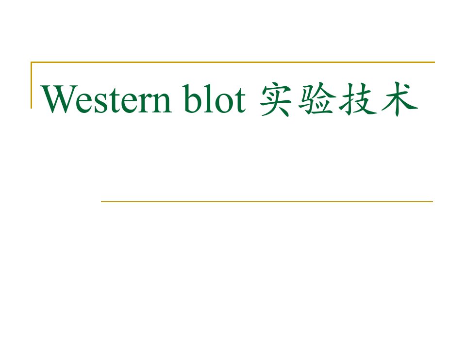 Westernblot实验技术1