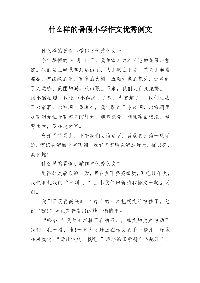 什么样的暑假小学作文优秀例文