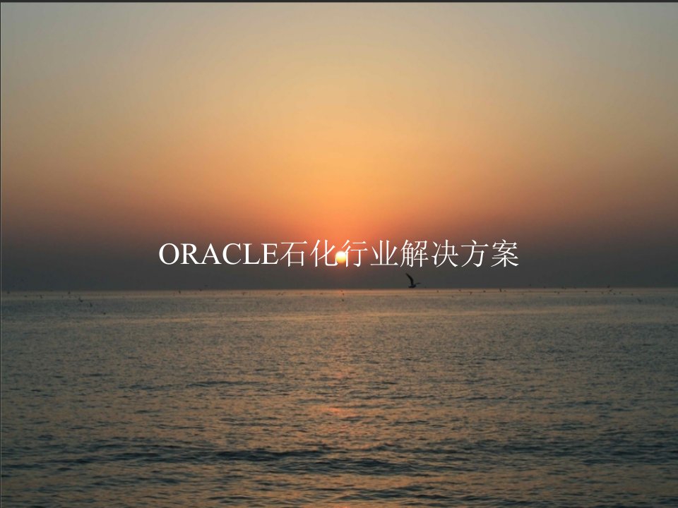 ORACLE石化行业解决方案