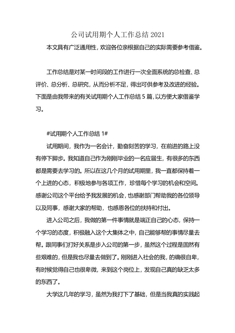 公司试用期个人工作总结2021