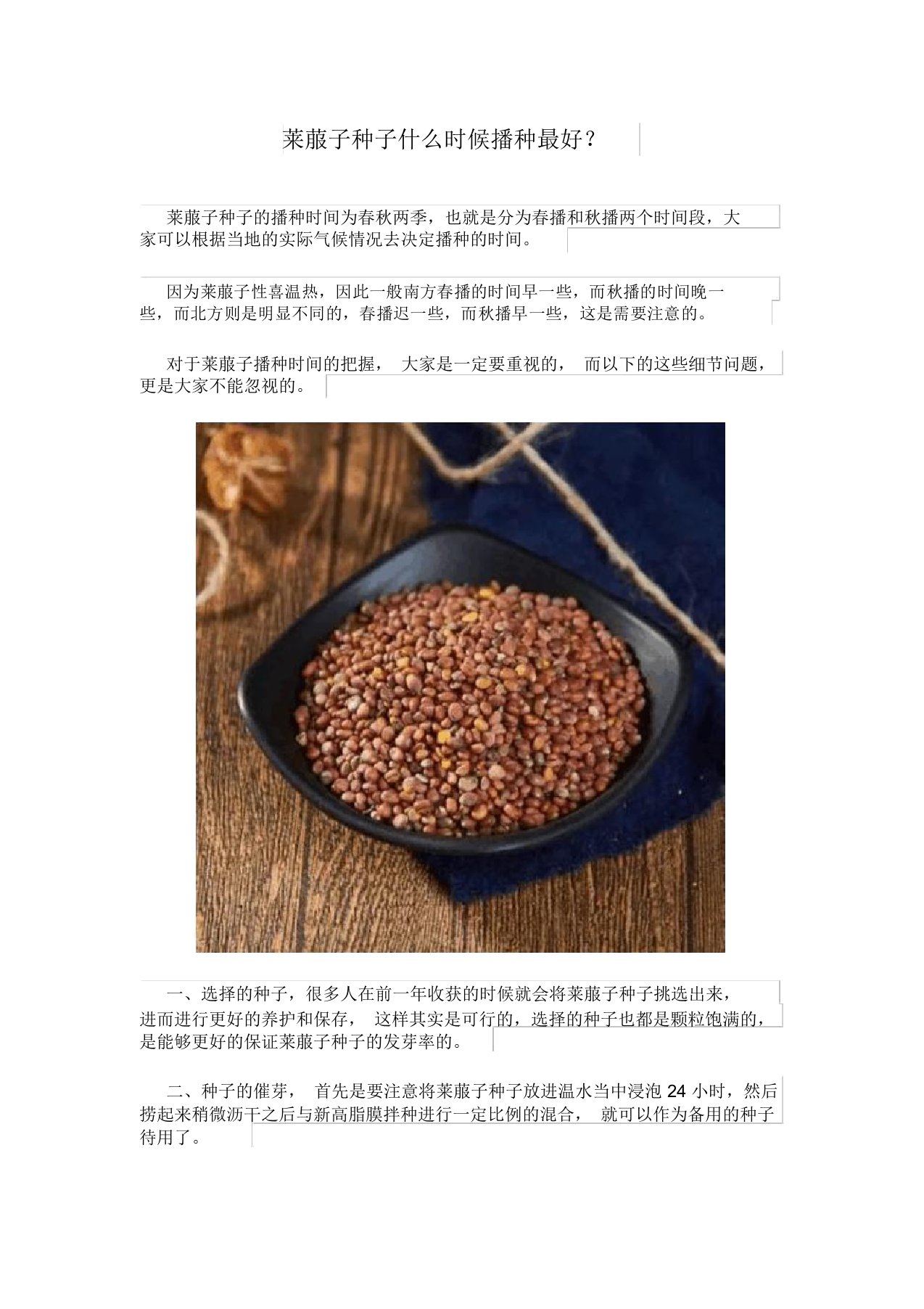 莱菔子种子什么时候播种最好