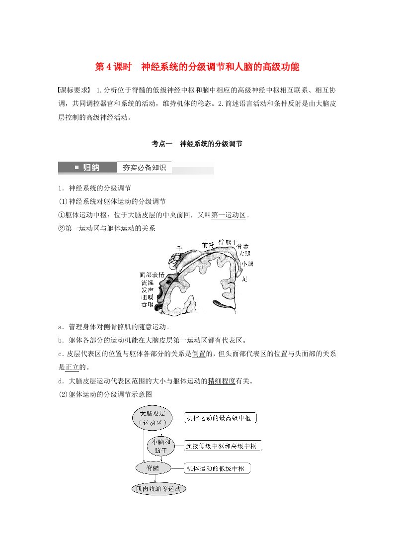 鲁湘辽新教材2024届高考生物一轮复习教案第八单元生命活动的调节第4课时神经系统的分级调节和人脑的高级功能