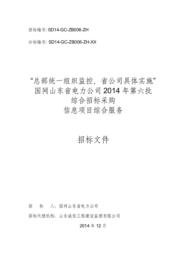 建筑资料-信息项目综合服务招标文件