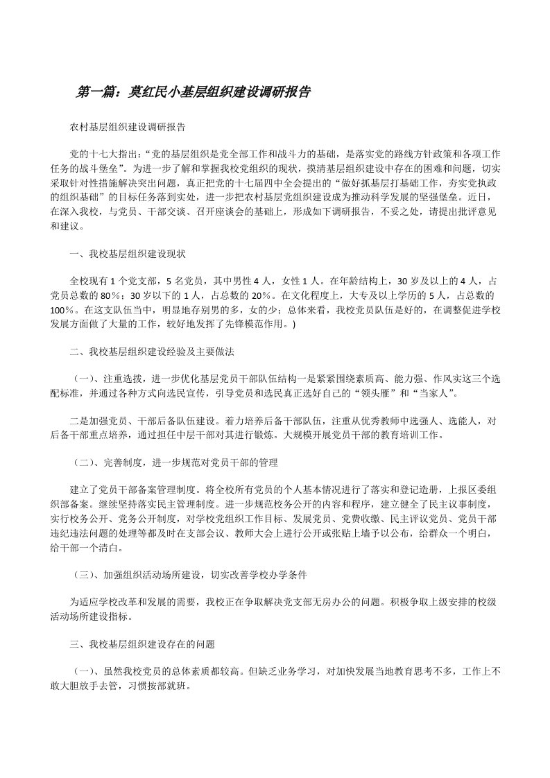 莫红民小基层组织建设调研报告[修改版]