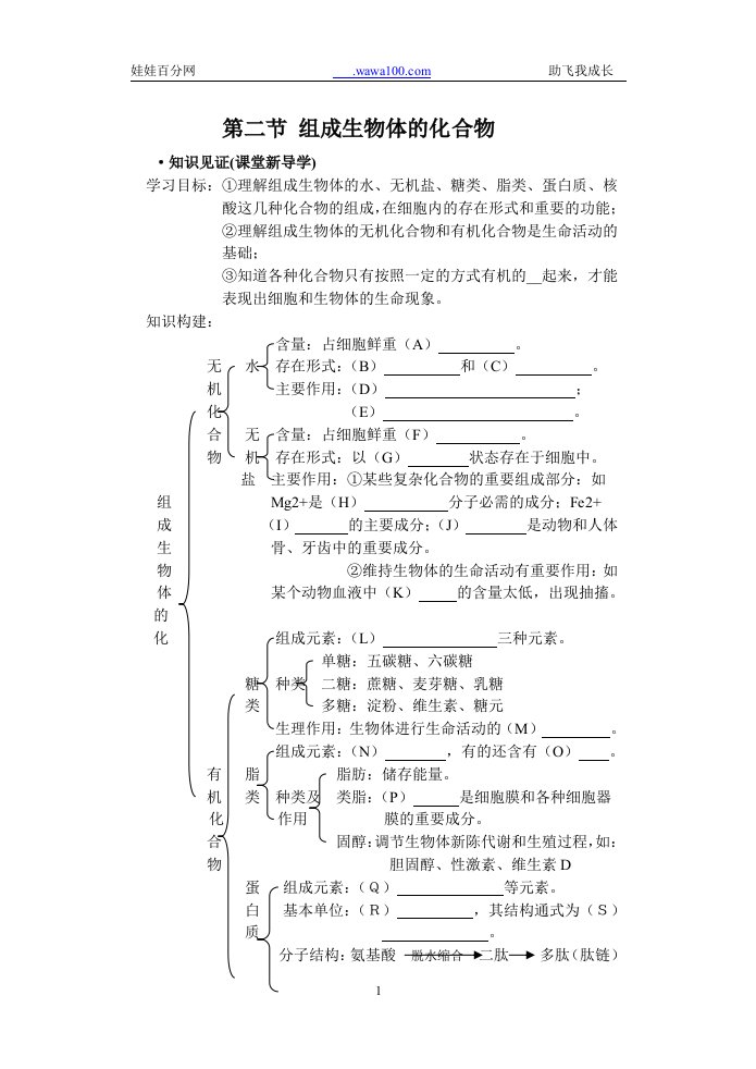 组成生物体的化合物