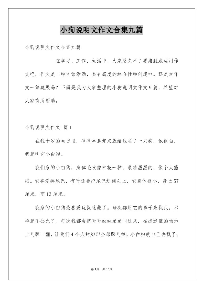 小狗说明文作文合集九篇