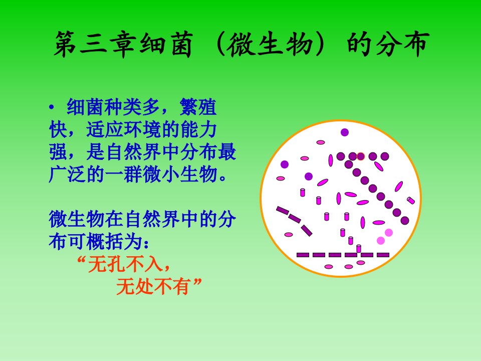 动物微生物学及免疫学课件细菌的分布