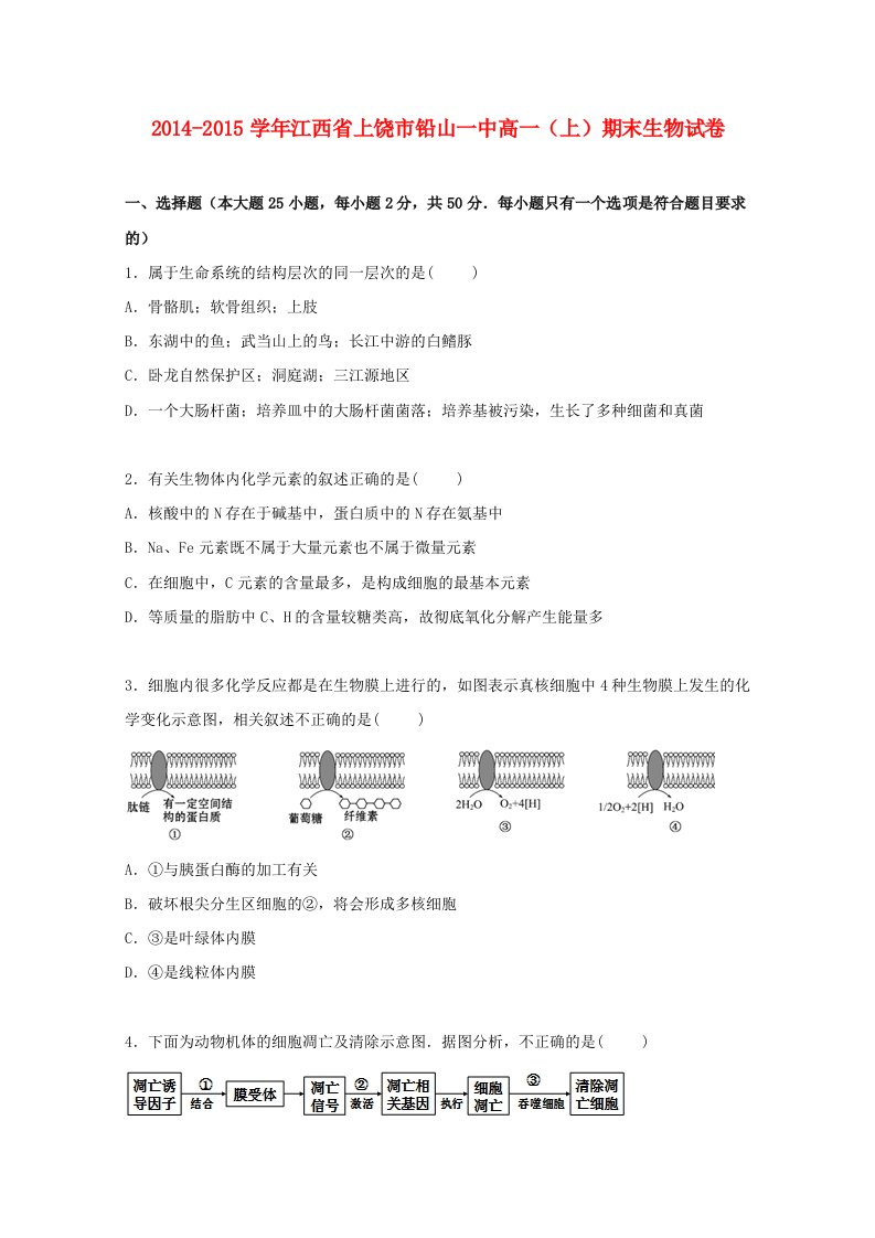 江西省上饶市铅山一中2014-2015学年高一生物上学期期末试卷含解析