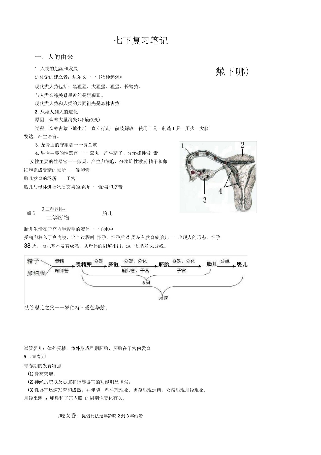 七年级下册生物期末复习笔记