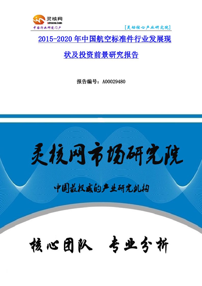 中国航空标准件行业市场分析与发展趋势研究报告-灵核网