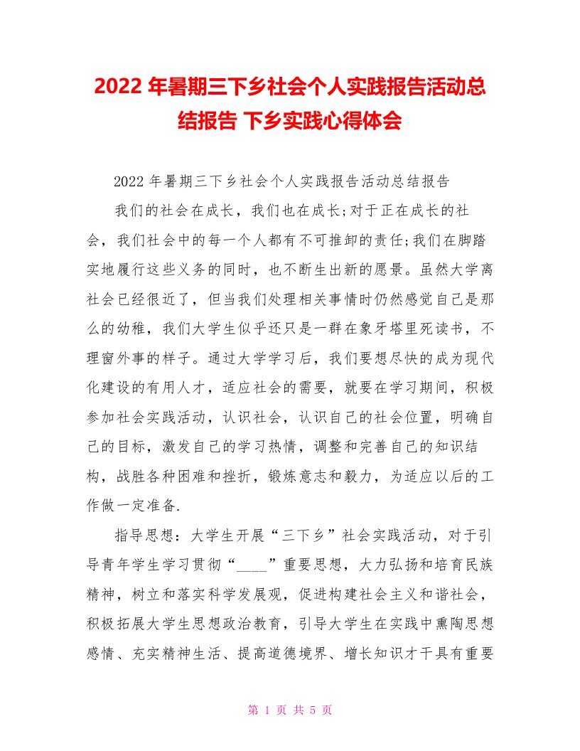 2022年暑期三下乡社会个人实践报告活动总结报告下乡实践心得体会