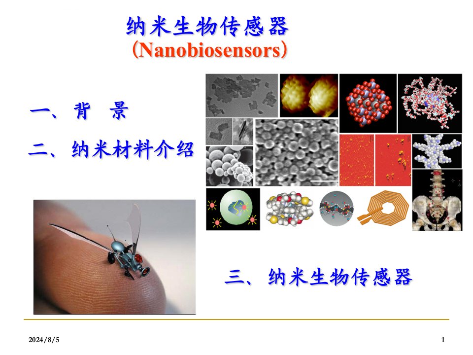 生物医学传感纳米生物传感器