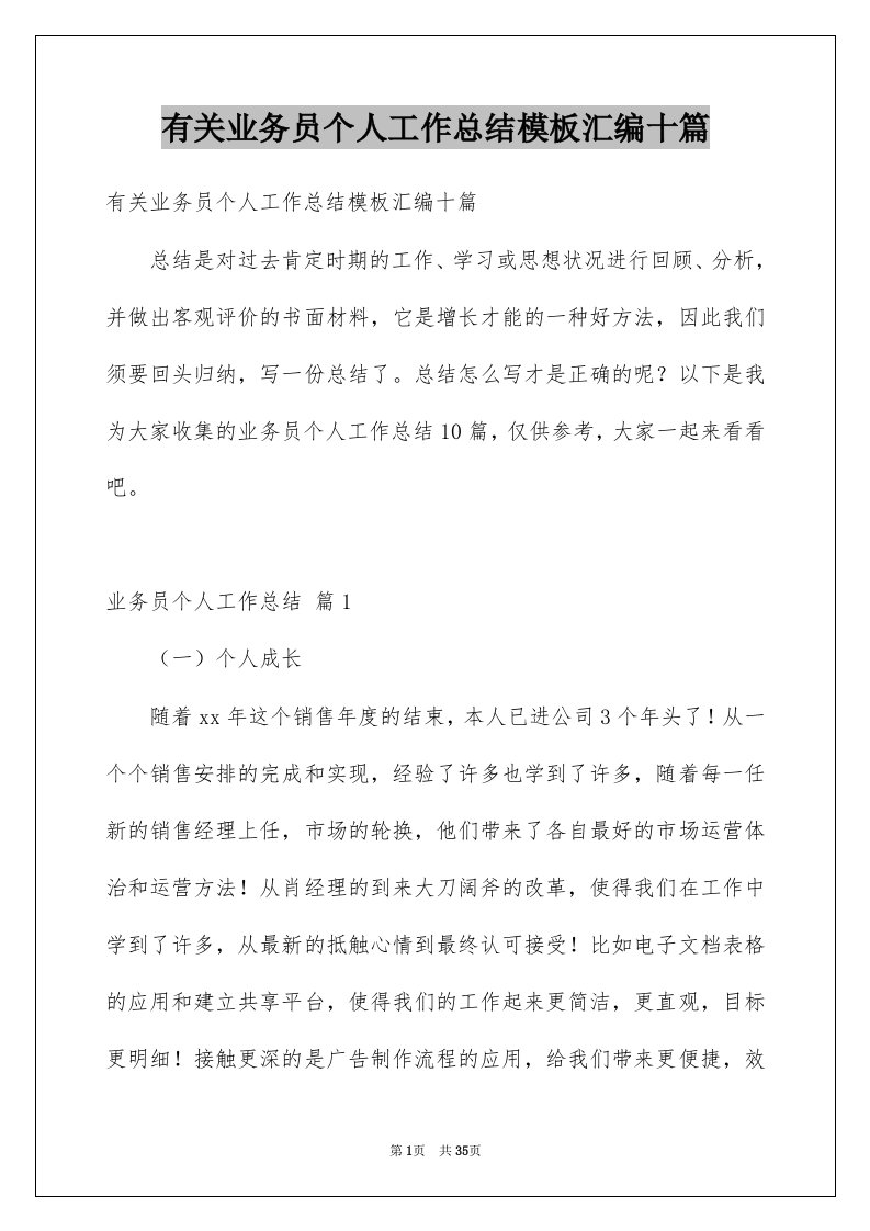 有关业务员个人工作总结模板汇编十篇