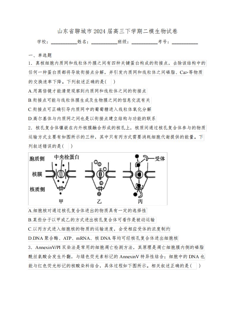 山东省聊城市2024届高三下学期二模生物试卷(含答案)