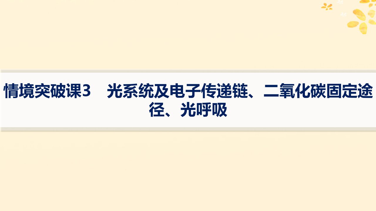 适用于新高考新教材备战2025届高考生物一轮总复习第3单元细胞的代谢情境突破课3光系统及电子传递链二氧化碳固定途径光呼吸课件