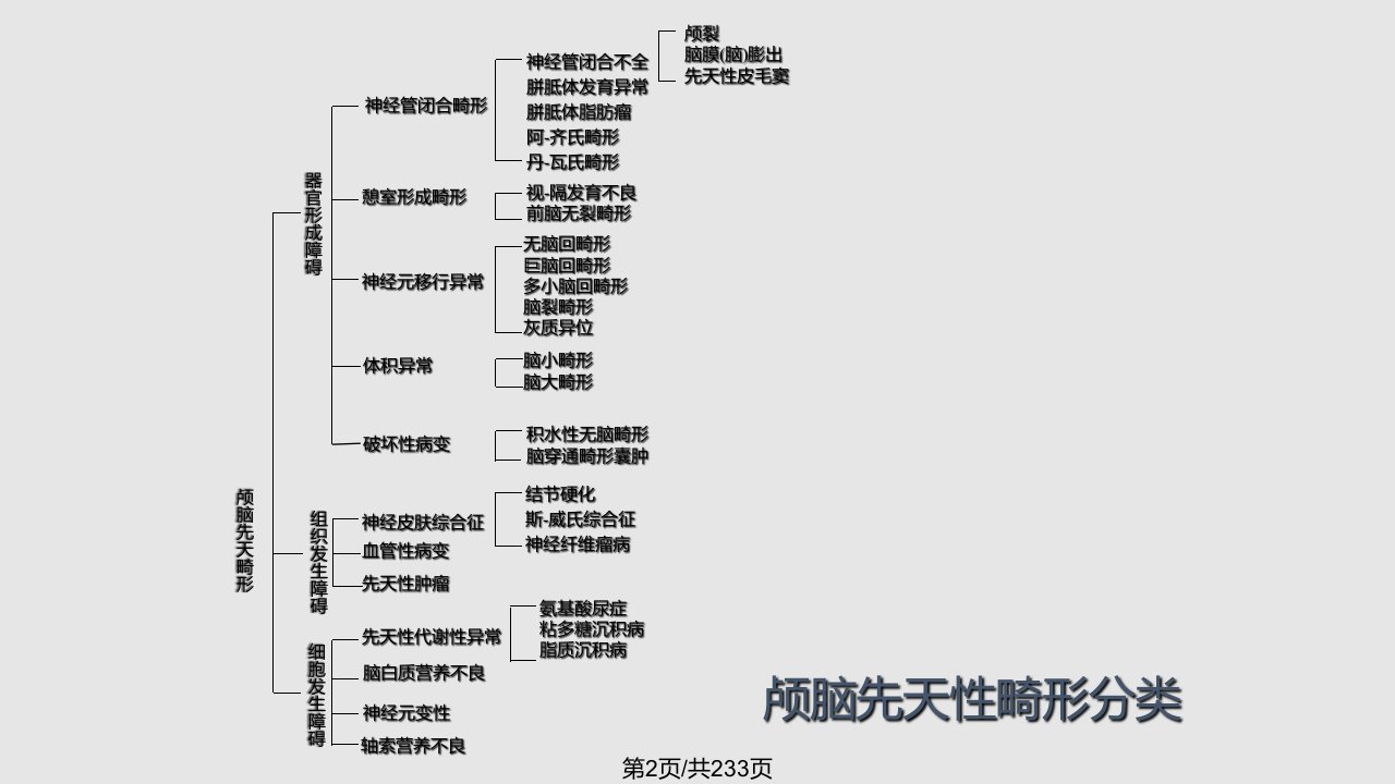 脑先天畸形影像系