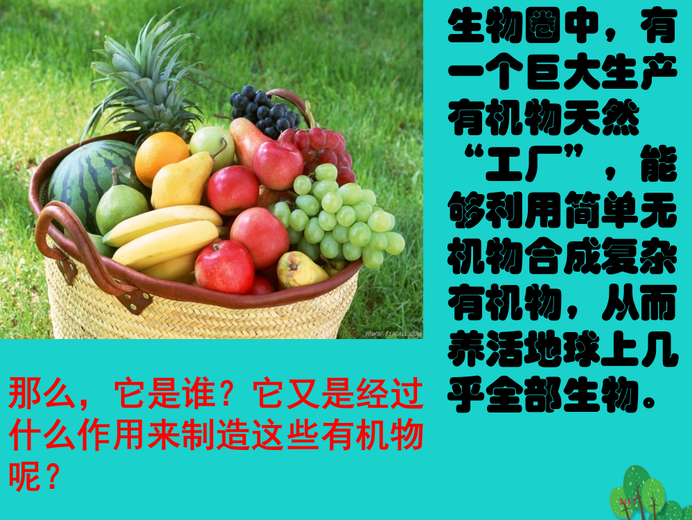 七年级生物上册第3单元第4章绿色植物是生物圈中有机物的制造者全国公开课一等奖百校联赛微课赛课特等奖P