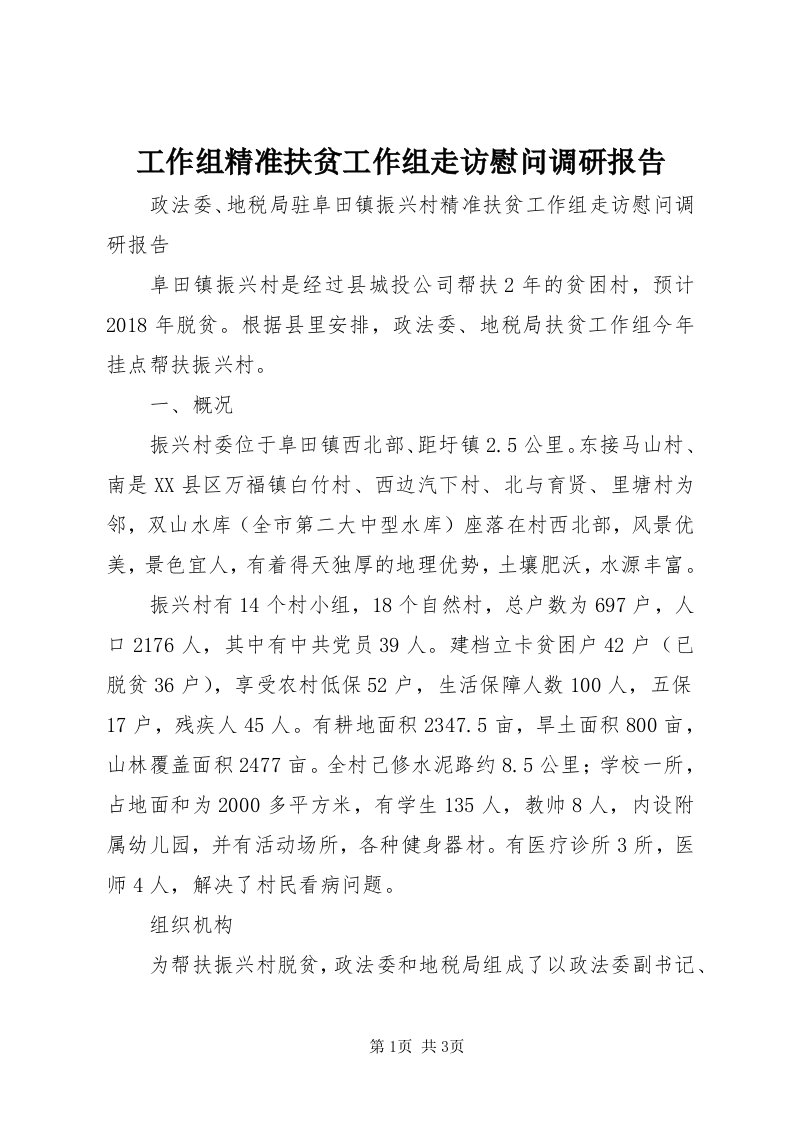 工作组精准扶贫工作组走访慰问调研报告