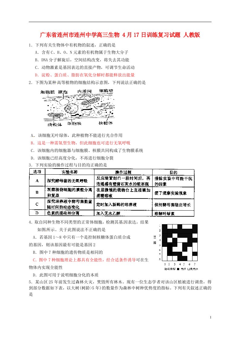 广东省连州市连州中学高三生物