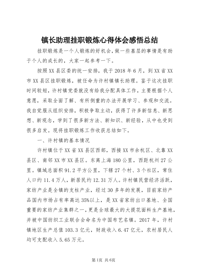 镇长助理挂职锻炼心得体会感悟总结